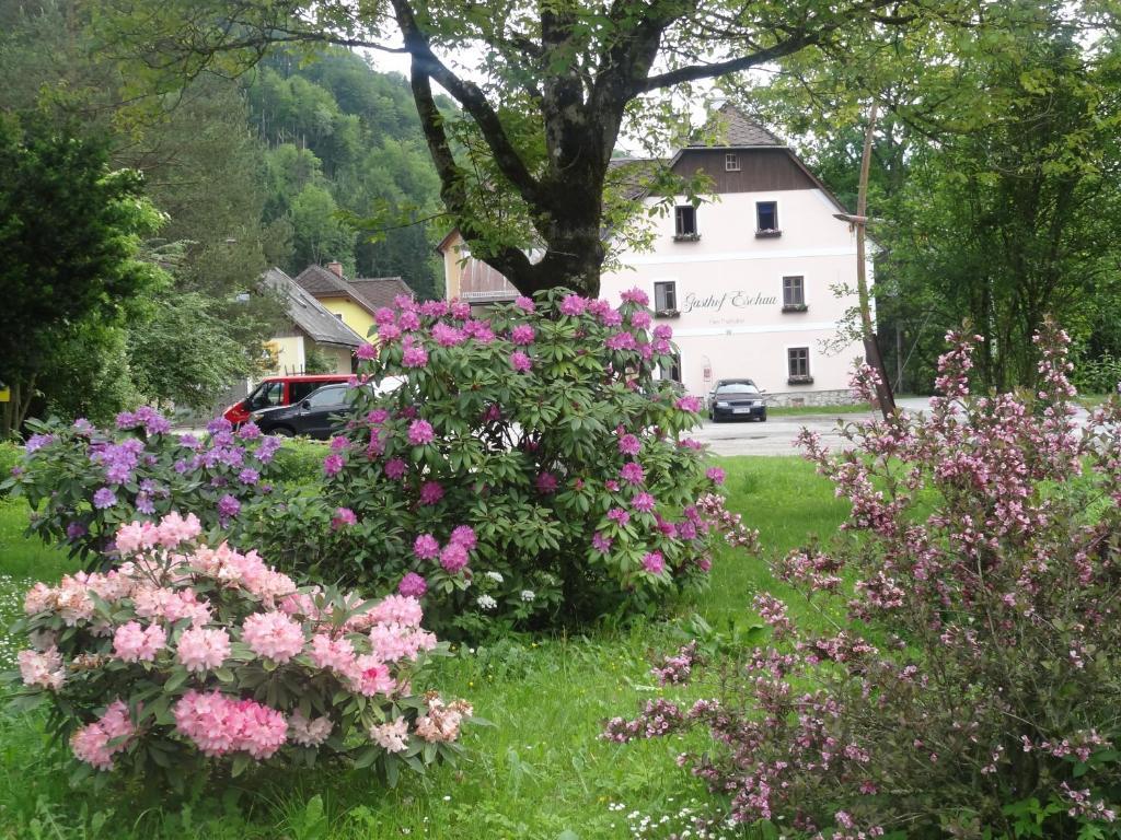 Gasthof Eschau ปาลโฟ ภายนอก รูปภาพ